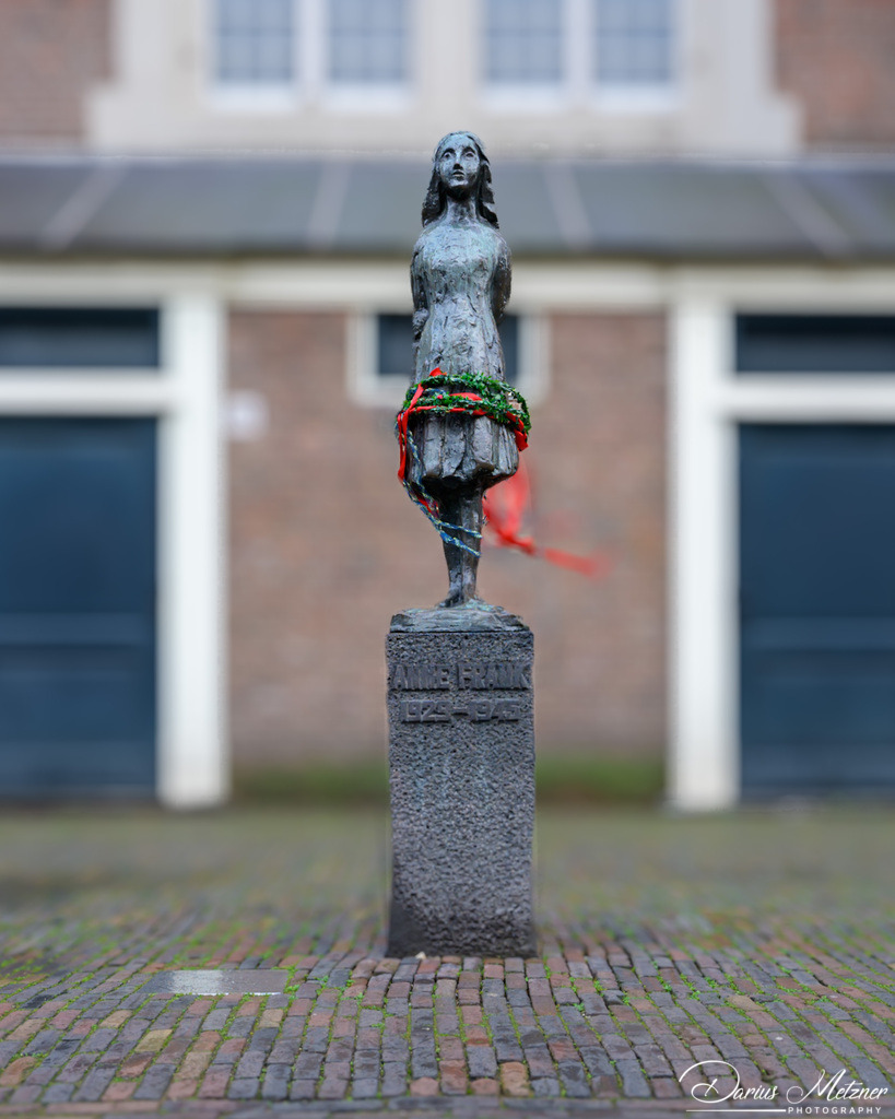 _DSC3746 | Fotografien, Fotos und Bilder aus Mainz, Frankfurt, Wiesbaden und anderen Orten auf der Welt - Fotografiert von Darius Metzner