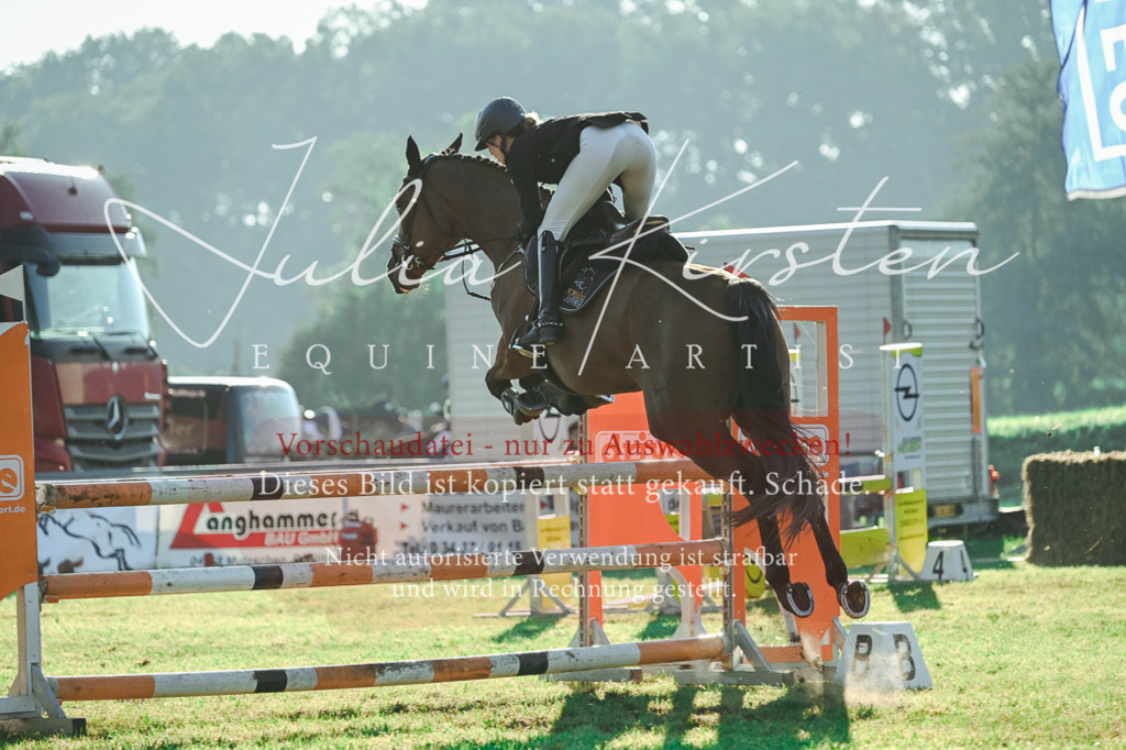 DSC_4311 | Pferde- und Turnierfotografie in Westsachsen. Pferdeportraits, Auftragszeichnungen und intuitive Kunst.
