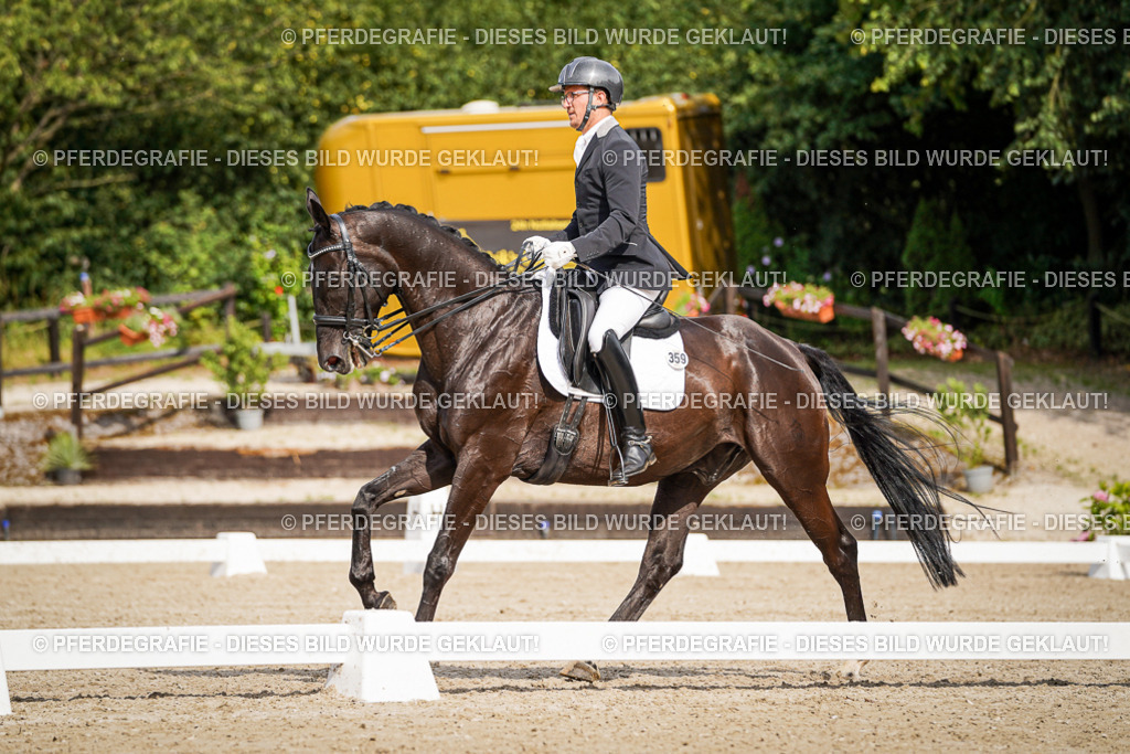 DSC06833 | Pferdegrafie