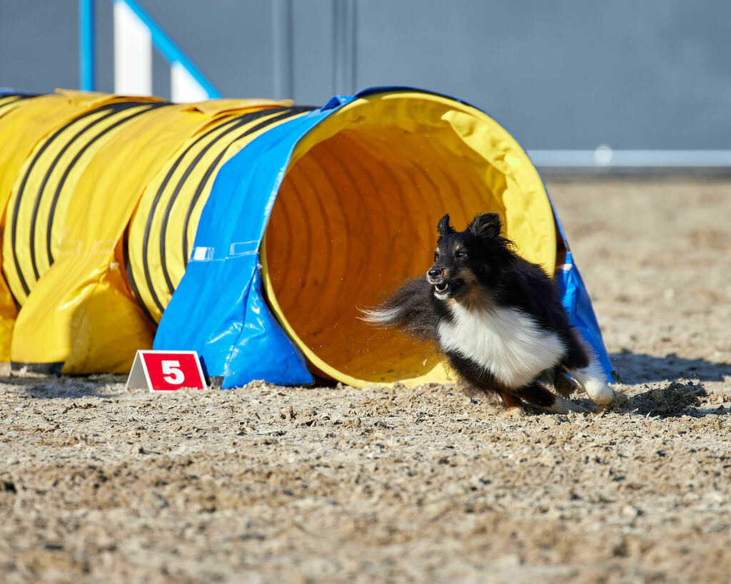 580A0136 | Peter Fridle Fotografie - Realisiert mit Pictrs.com