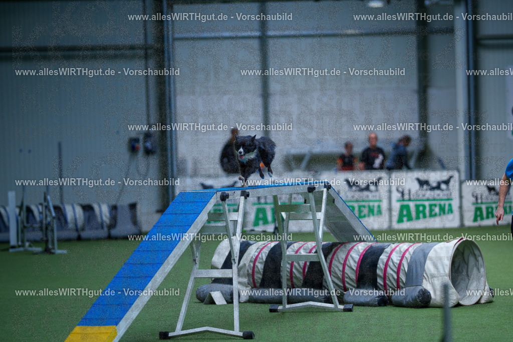 @allesWIRTHgut_Tierfotografie - www.allesWIRTHgut.de - 2604261118-7R509526 | Professionelle Tierfotografie in Mönchengladbach von Daniel Wirth (allesWIRTHgut). Liebevolle & natürliche Bilder von Hunden & Katzen für unvergessliche Erinnerungen.
