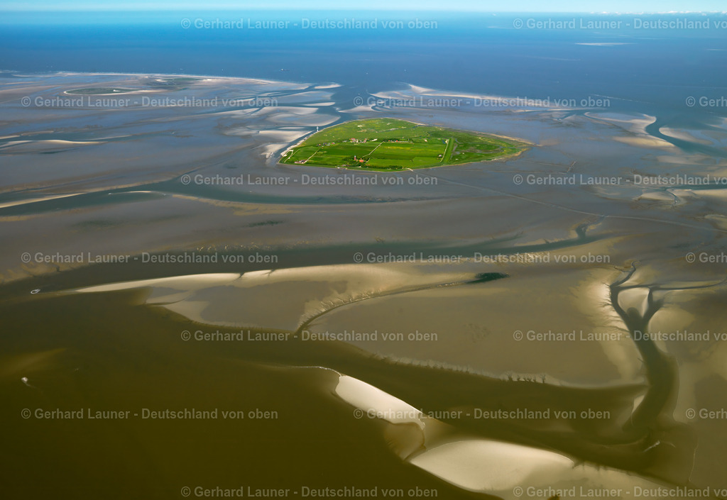 3091242 | Nationalpark Hamburgisches Wattenmeer bei Neuwerk