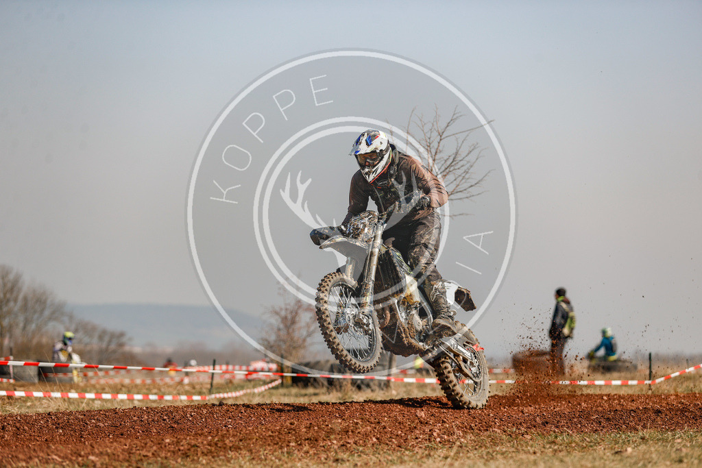 IGE-Lauf4-211 | koppe-media - Realisiert mit Pictrs.com