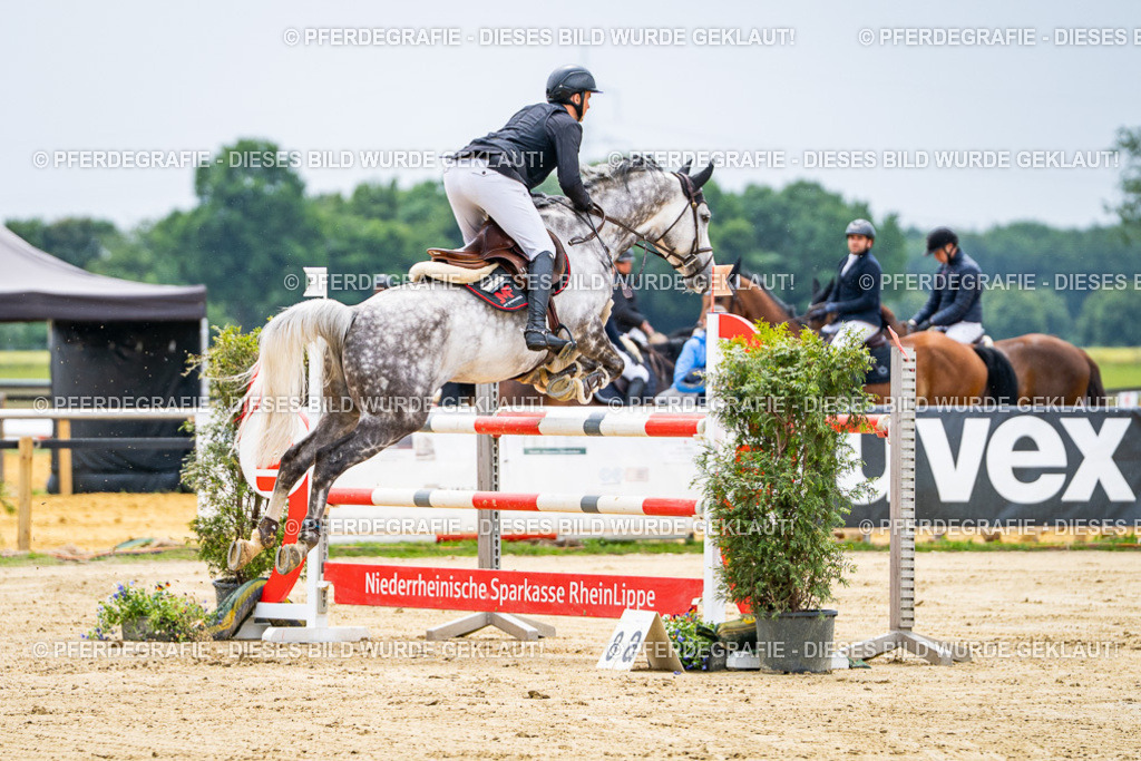 DSC06817 | Pferdegrafie