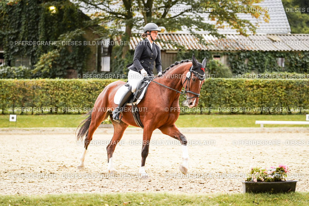 DSC03342 | Pferdegrafie