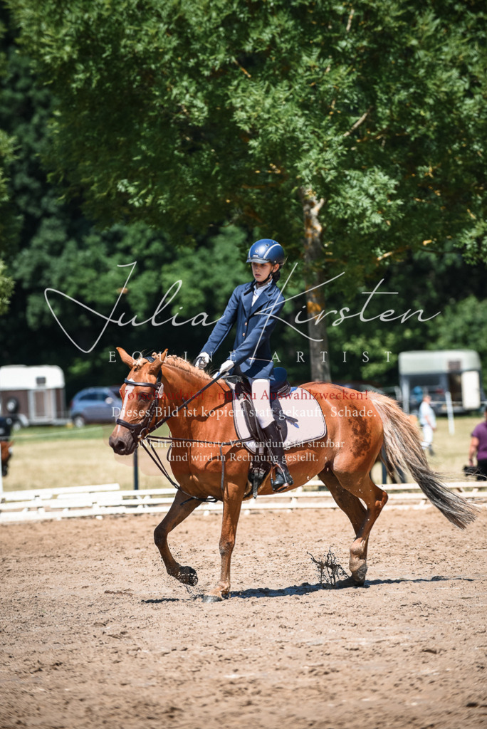 DSC_2907 | Pferde- und Turnierfotografie in Westsachsen. Pferdeportraits, Auftragszeichnungen und intuitive Kunst.