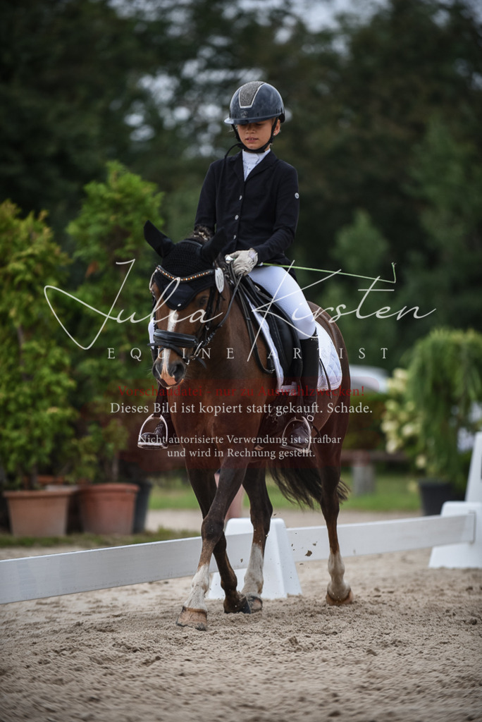 DSC_8161 | Pferde- und Turnierfotografie in Westsachsen. Pferdeportraits, Auftragszeichnungen und intuitive Kunst.