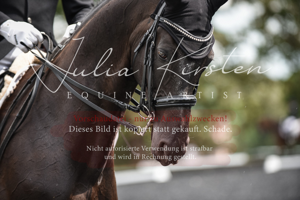 DSC_4956 | Pferde- und Turnierfotografie in Westsachsen. Pferdeportraits, Auftragszeichnungen und intuitive Kunst.