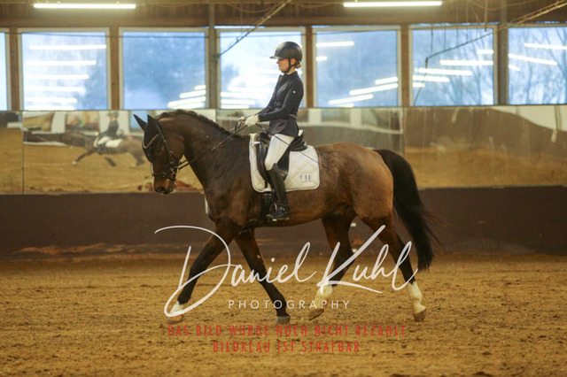 IMG_7015 | Turniersportfotografie; Pferdefotografie; Dressurfotografie