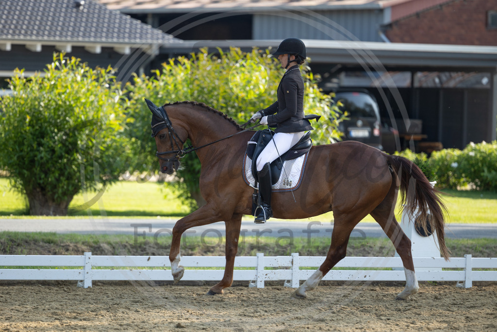 994A3346 | sabrinanicolaifotografie - Realisiert mit Pictrs.com