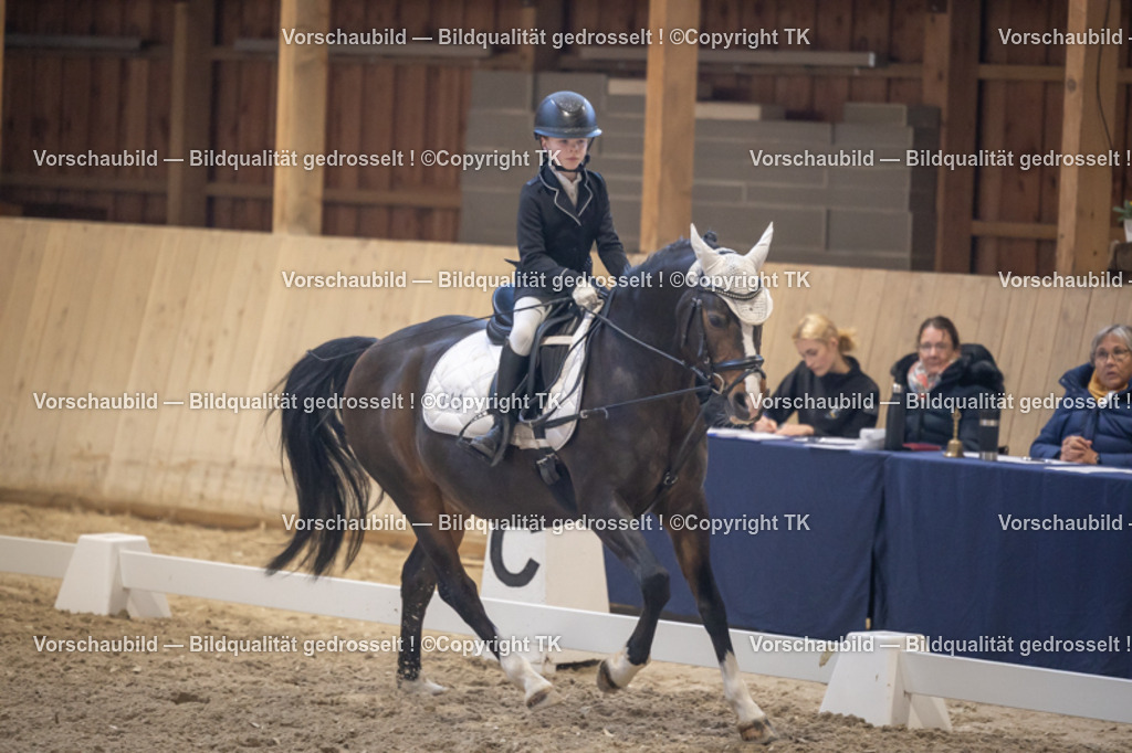 _D5A2190 | Emotionale Pferde- & People-Fotografie rund um Heidelberg, Leimen & Umgebung. Natürliche Fotos von Pferd, Mensch & Familie. Jetzt Termin sichern!