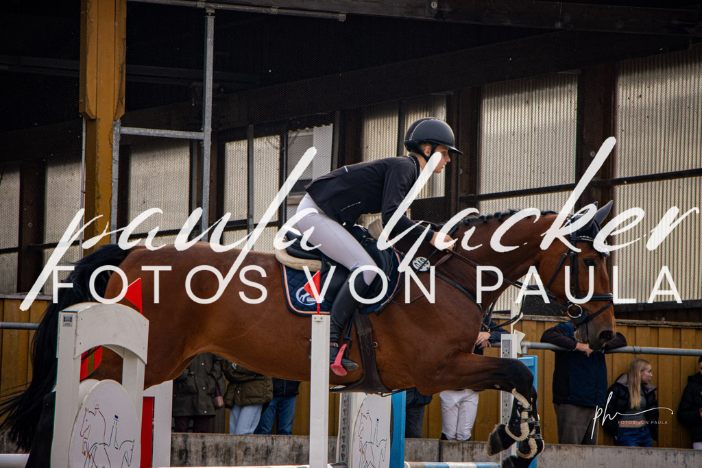 IMG_4477 | Erleben Sie dynamische Sport- und emotionale Tierfotografie in Süddeutschland mit Fotos von Paula. Spezialisiert auf Pferde- und Hundefotografie sowie Sportevents. Kontaktieren Sie mich für einzigartige und ausdrucksstarke Bilder Ihrer besonderen Momente. - Realisiert mit Pictrs.com