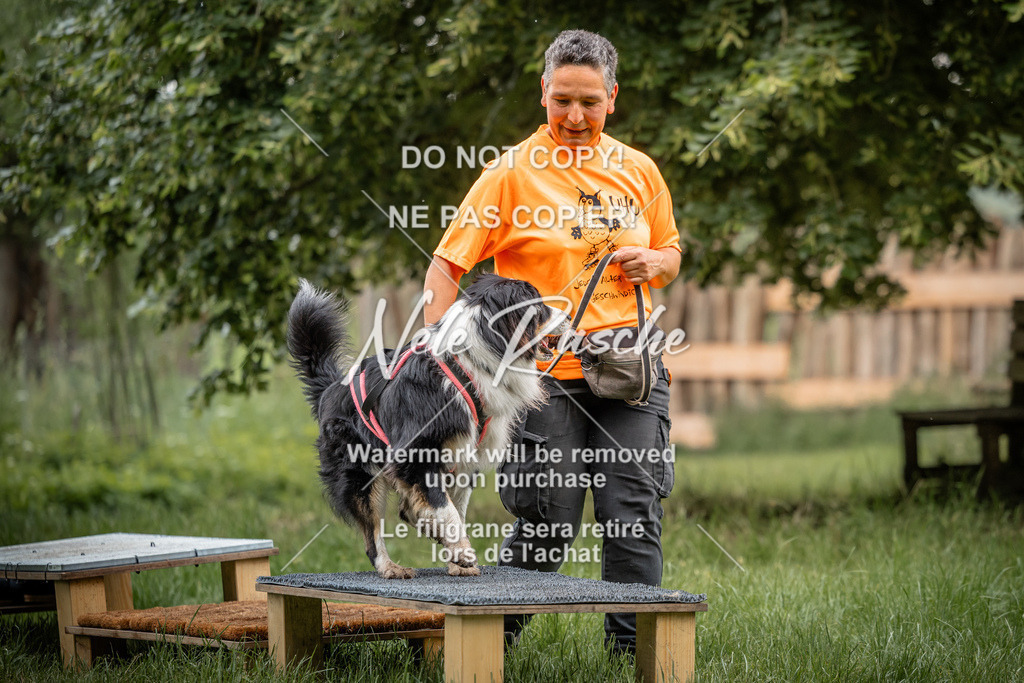 nelerasche_So-funtrail_238 | nelerasche