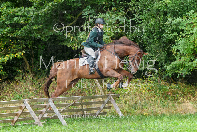 Jagd Perdoel_MarinaHewigMCH04477 | Fotografie, FotoArt, PferdesportArt, Pferdesportfotografie, Landschaftsfotografie, Reisefotografie, Reise, Pferde - Realisiert mit Pictrs.com