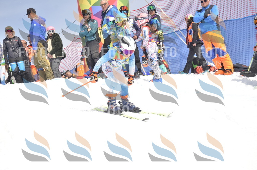 _ELE9102 | holidayphoto