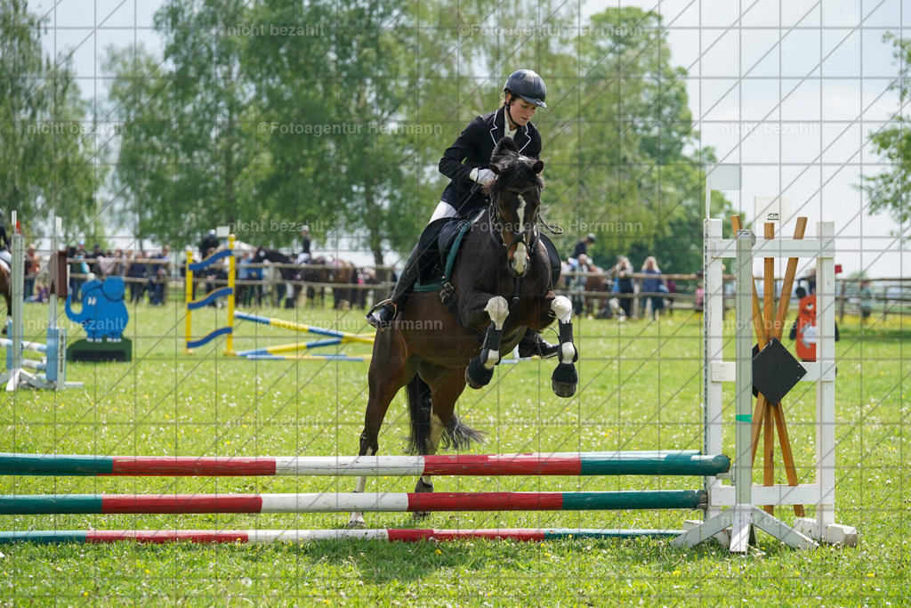 20240509-FAH02336 | Turnierbilder der Turnierfotografen Bayern, Pferdesport Fotografie, Reitsportbilder, Turnier Landberg am Lech, Turnierbilder bayern, Fotoagentur Herrmann