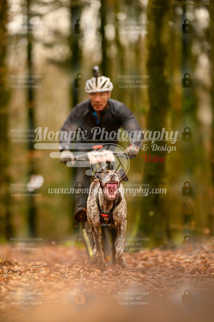 MompixPhotography_Habay2024_SA_Scooter-18 | PayLife