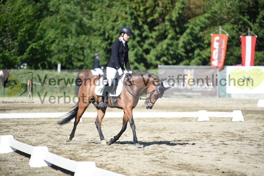 DSC_7652 | equestrian-live-com