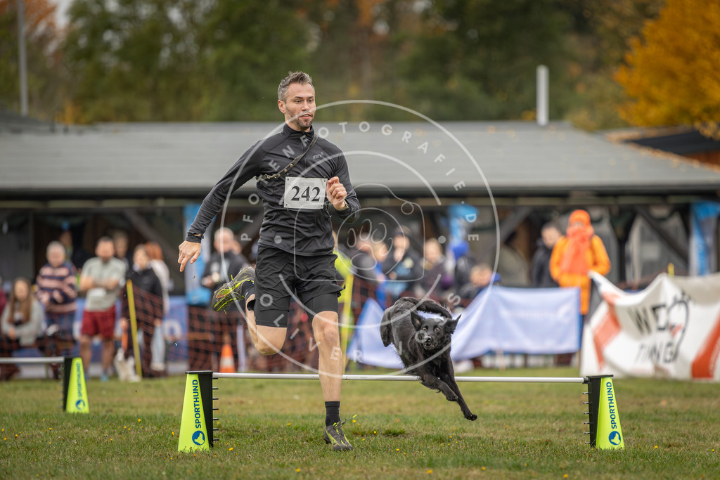Pfotenfotografie_DV3A5057 | Hundefotografie, Tierfotograf, Pfotenfotografie, Fotoshooting Hund, Hunde Portrait, Hundesport, Hundeportraits, Heideshooting, Hunde, Sportfotograf, Hundefotograf, Turnierhundsport, THS,  - Realisiert mit Pictrs.com