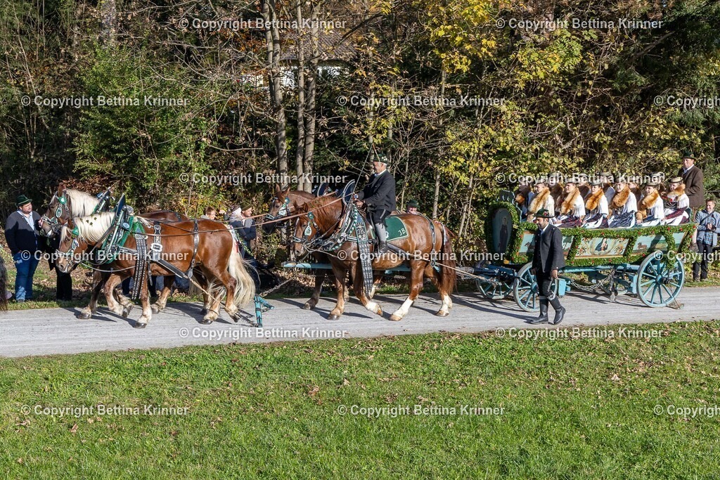 LBT24-694 | foto-bettina-krinner - Realisiert mit Pictrs.com