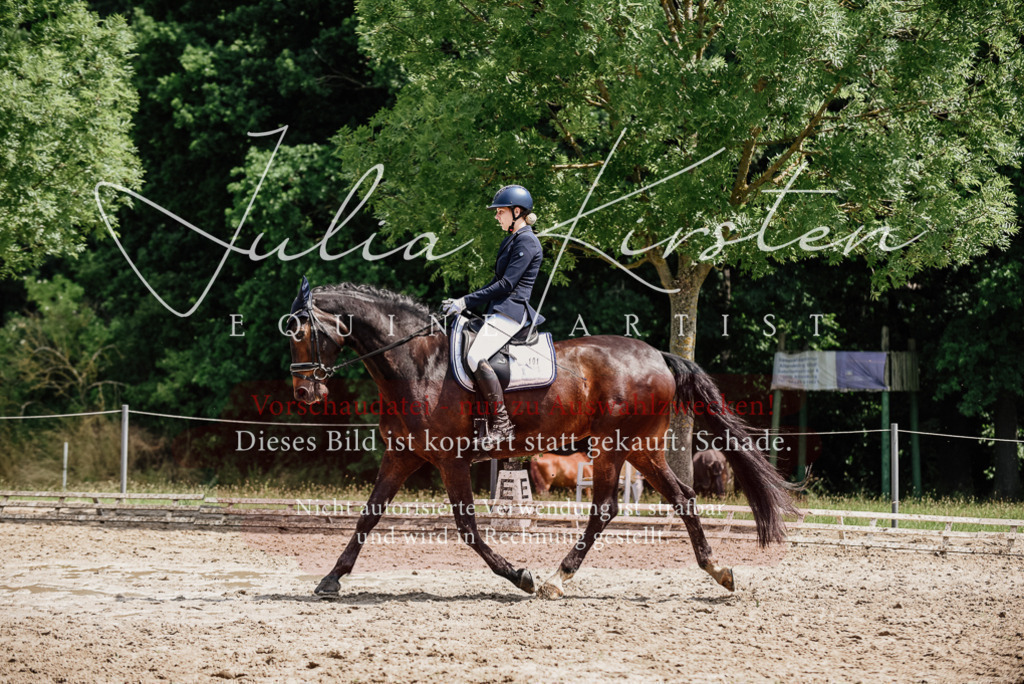 DSC_1467 | Pferde- und Turnierfotografie in Westsachsen. Pferdeportraits, Auftragszeichnungen und intuitive Kunst.