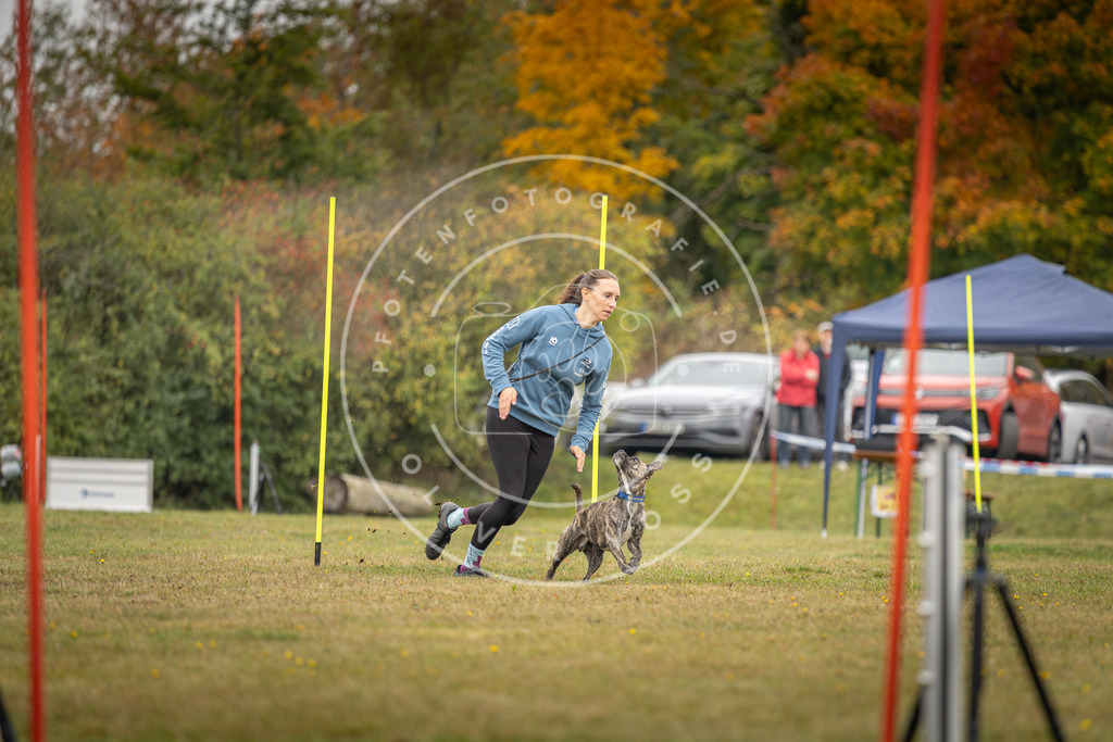 Pfotenfotografie_DV3A3465 | Hundefotografie, Tierfotograf, Pfotenfotografie, Fotoshooting Hund, Hunde Portrait, Hundesport, Hundeportraits, Heideshooting, Hunde, Sportfotograf, Hundefotograf, Turnierhundsport, THS,  - Realisiert mit Pictrs.com