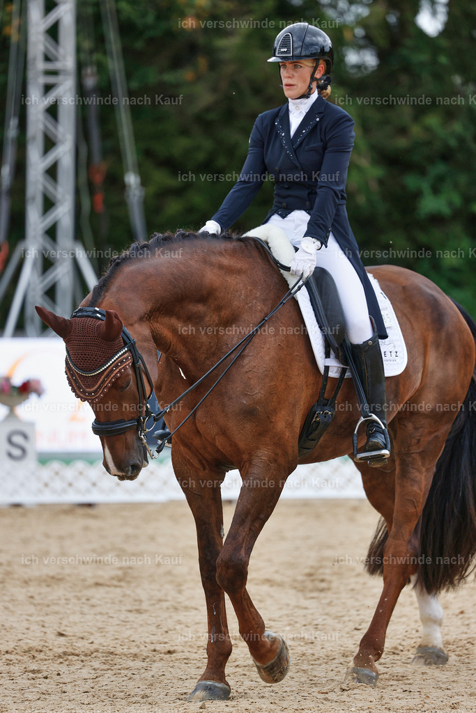 8_1-085-Klasse S_  -StoibPH-3822 | working equitationturnier fotograf videograf stoibphotography marixx film working equitation deutschland reitsport turnierfotografie eventfotografie equestrian events