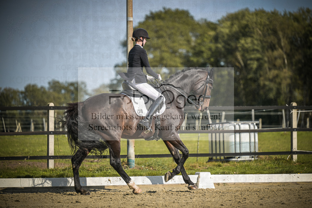 DOS_1889 | Entdecke hochwertige Reitturnierfotos von Foto Oger. Professionell, emotional und authentisch – jetzt Lieblingsmomente im Shop bestellen.Deutschlandweite Turnierfotografie. - Realisiert mit Pictrs.com
