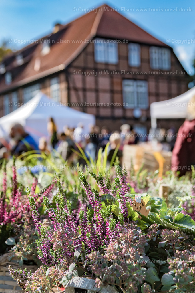 Harsefeld Herbstzauber_ELS_3018140919a | Fotos aus den Touristenorten aus Norddeutschland. - Realisiert mit Pictrs.com