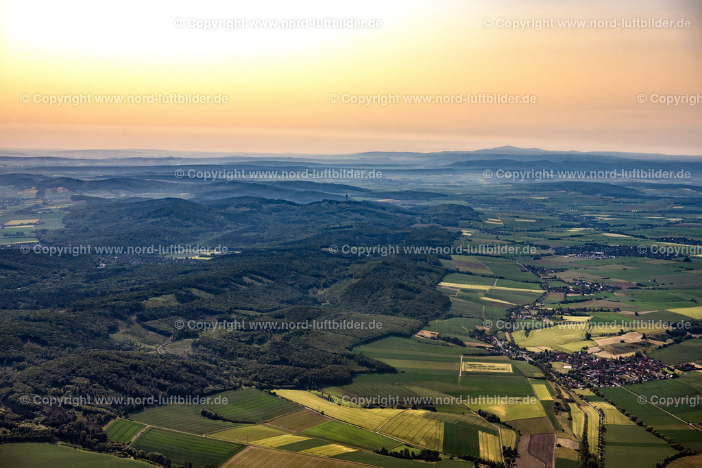 Eitzum_ELS_4340050623 | DESPETAL 05.06.2023 Forstgebiete in einem Waldgebiet in Despetal im Bundesland Niedersachsen, Deutschland. // Forest areas in in Despetal in the state Lower Saxony, Germany. Foto: Martin Elsen