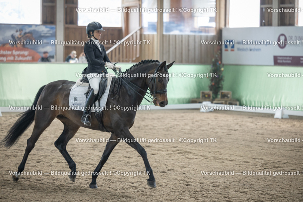 _D5A4679 | Emotionale Pferde- & People-Fotografie rund um Heidelberg, Leimen & Umgebung. Natürliche Fotos von Pferd, Mensch & Familie. Jetzt Termin sichern!