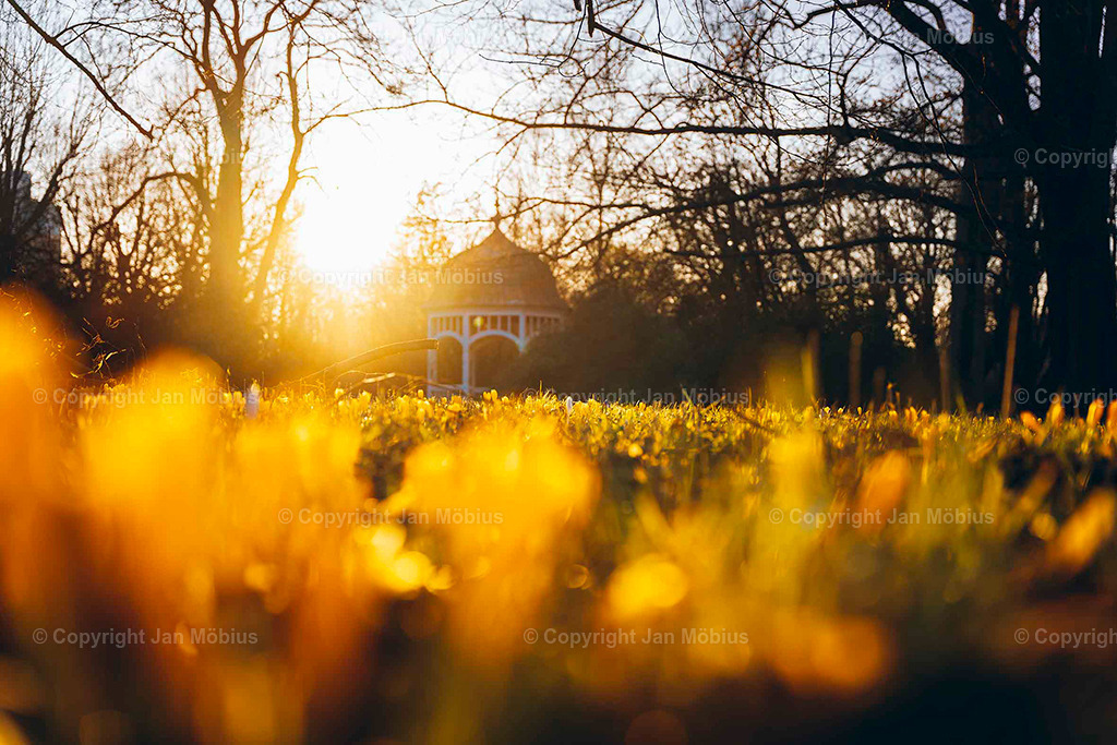 _DSC6191 | Leipzig Wandbilder Drucke Prints Leinwand Stadtmotive Leipzig Fotosdruck Kunstdrucke Bilder Leipzig Stadtansichten Acrylglasbilder Leipzig Wanddeko Fine Art Prints Wandbilder Büro Leipzig Bilder Praxis Zuhause Bilderdruck Poster Posterlounge Kunstdrucke - Realisiert mit Pictrs.com