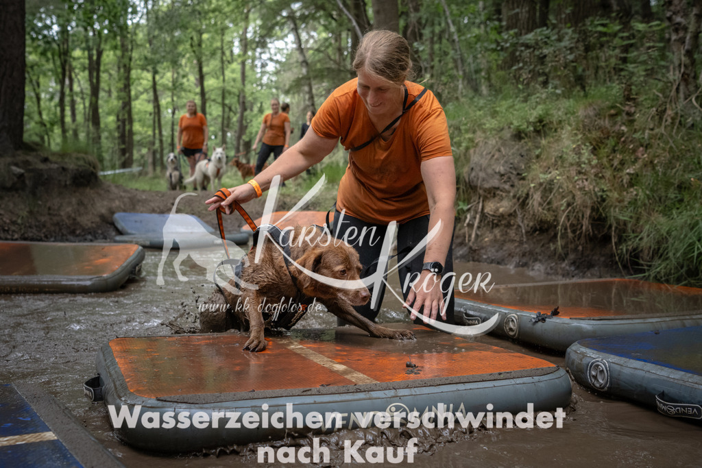 1217_ZZ98245 | kk-dogfotos