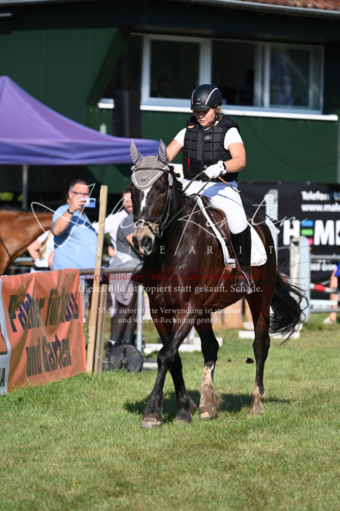 DSC_5171 | Pferde- und Turnierfotografie in Westsachsen. Pferdeportraits, Auftragszeichnungen und intuitive Kunst.
