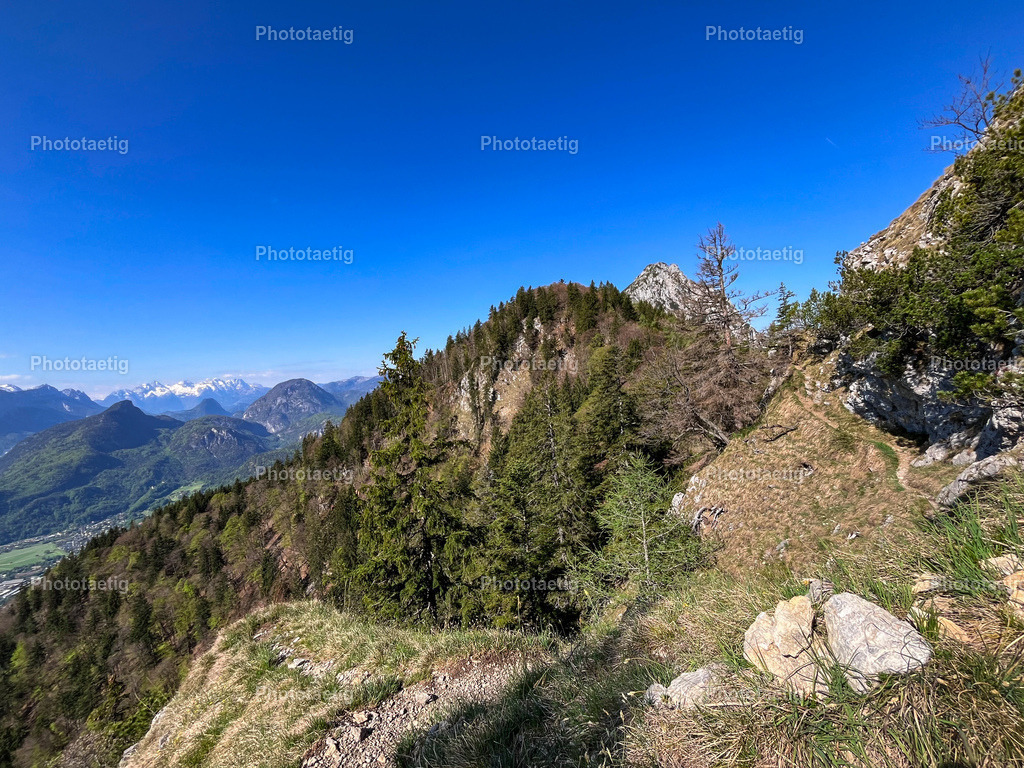 IMG_2168 | phototaetig