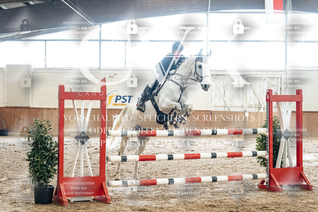 CK906279 | Turnierfotografie Pferdefotografie Trier Rheinland-Pfalz Pferdesport Reitsport Tierfotografie Sportfotografie Pferdevideo Pferdevideografie Equestrianvideography equestrianphotography  - Realized with Pictrs.com