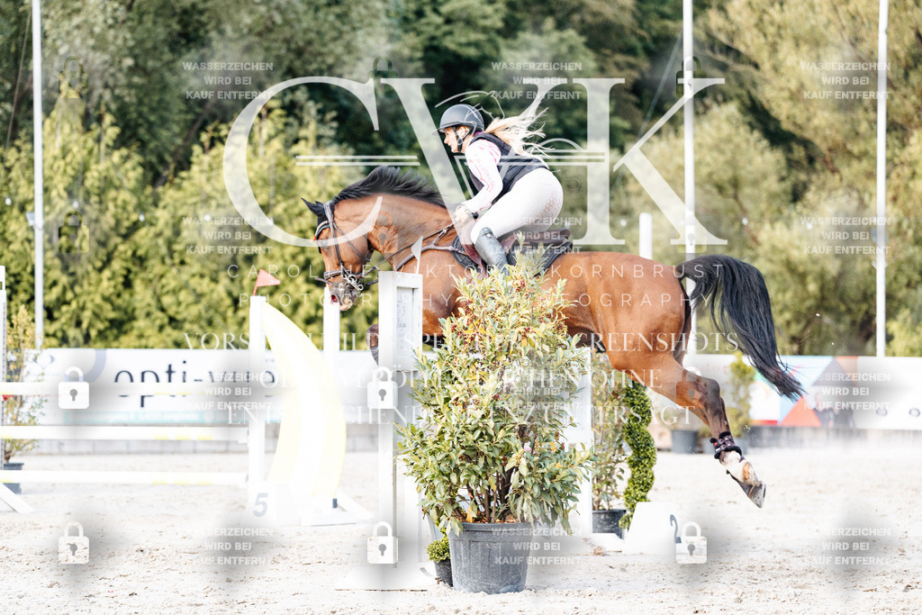CK904062 | Turnierfotografie Pferdefotografie Trier Rheinland-Pfalz Pferdesport Reitsport Tierfotografie Sportfotografie Pferdevideo Pferdevideografie Equestrianvideography equestrianphotography  - Realisiert mit Pictrs.com