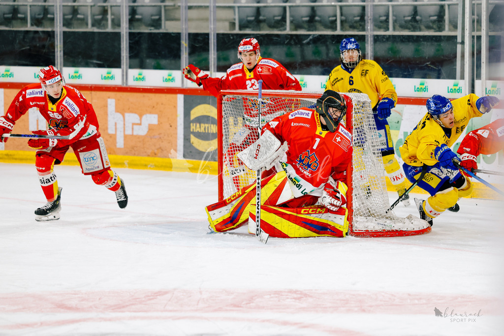 U21_EHCB vs HCD_wb20260308-0371 | Sportbilder, Sportfotograf, Hochzeits- und Eventfotografin, Flugshows, Portraits und Tiershooting, Aviation, Downhill, Nationalleague, Swissleague, International