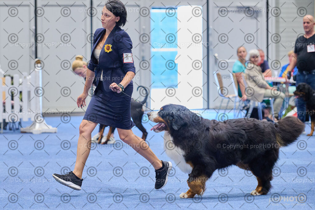 202406_ÖKV-IHA-Tulln24_DSC_2917 | proPHOTO - Realisiert mit Pictrs.com