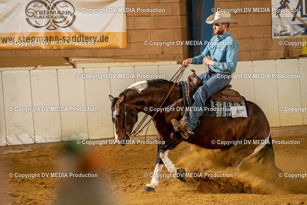 MIT01099 | dv-media-shop - Realisiert mit Pictrs.com