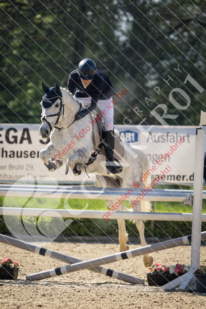 CON_0337 | Sport-, Event- und Tierfotos in Profiqualität. Einfach auswählen, bestellen und herunterladen. Dein Moment – perfekt festgehalten.