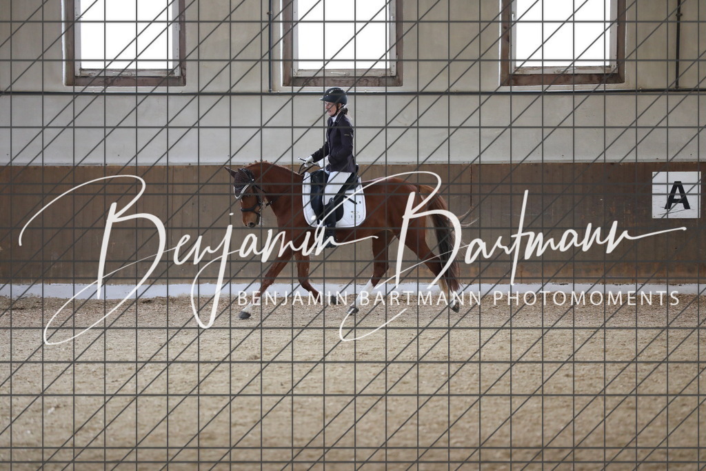 AZ2A7045 | Benjamin Bartmann Photomoments