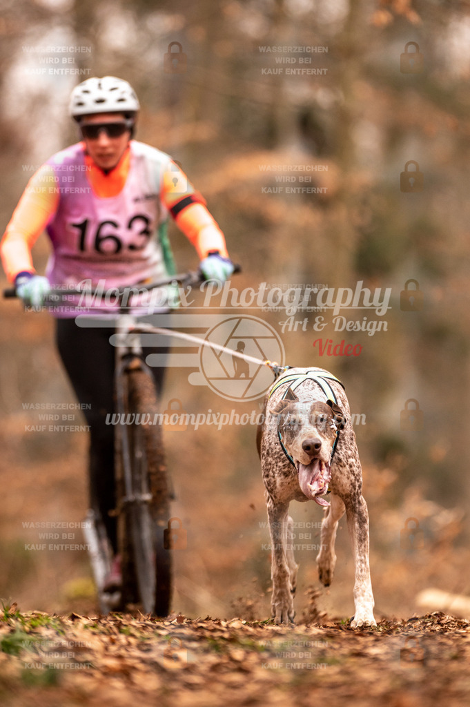 AKM_ST_2023_SAM_Scooter-28 | PayLife