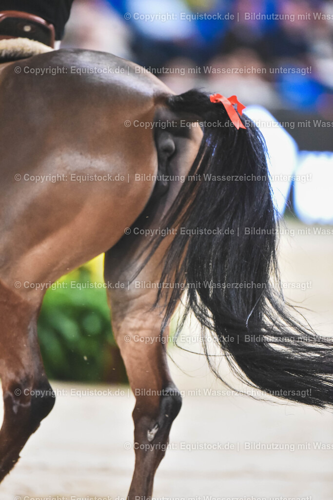 20251115_Ensinger-Ponies-Trophy_TOMSPIC_0073 | Foto: Thomas Hartig