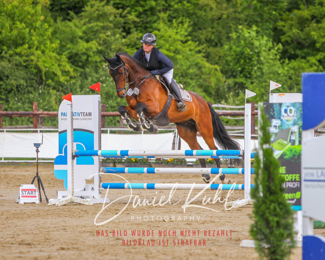 DKP41498 | Turniersportfotografie; Pferdefotografie; Dressurfotografie