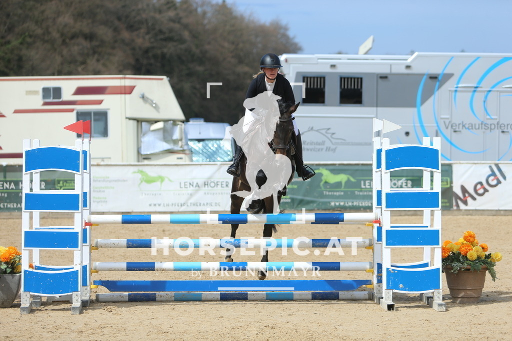 DL2Q9309 | Willkommen bei Brunnmayr - Design & Fotografie – Ihrem Spezialisten für Reitturniere und Pferdeveranstaltungen in Oberösterreich, Salzburg und Bayern! Seit über 17 Jahren sind wir leidenschaftlich dabei.