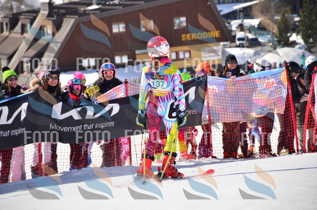 VR4_9711 | holidayphoto