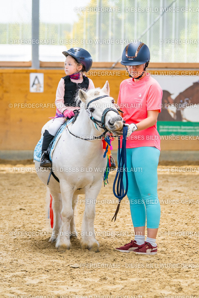 DSC00211 | Pferdegrafie