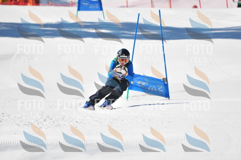 C3531 | holidayphoto