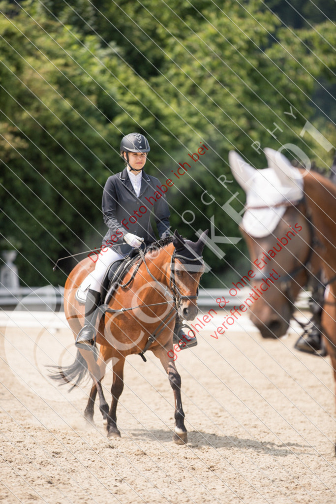IMG_3461 | Sport-, Event- und Tierfotos in Profiqualität. Einfach auswählen, bestellen und herunterladen. Dein Moment – perfekt festgehalten.